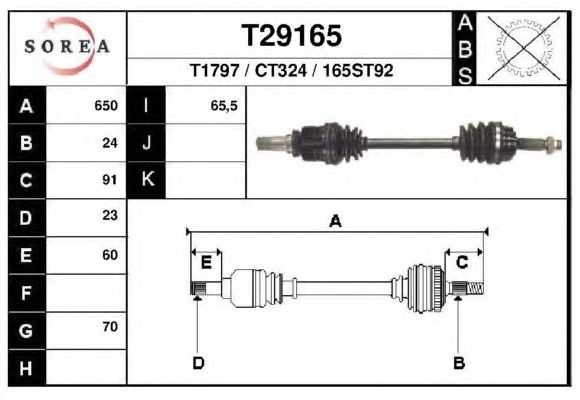  T29165  EAI