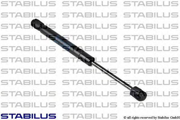  018565  STABILUS