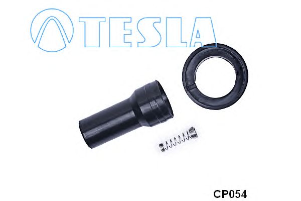  CP054  TESLA