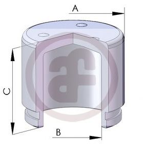  D02553  AUTOFREN SEINSA