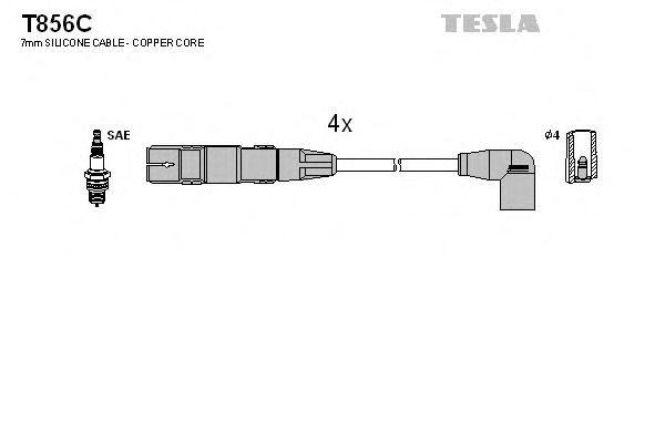  T856C  TESLA